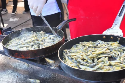 Muğla'da hamsi festivali, Menteşe Hamsi Festivali