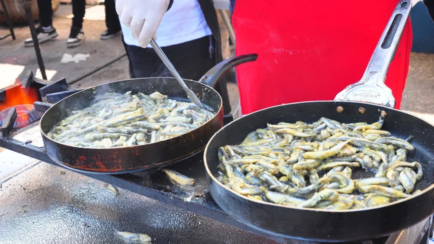Muğla'da hamsi festivali, Menteşe Hamsi Festivali