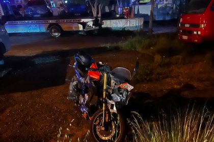 Bodrum’da bir kamyonun yaban domuzuna, kamyonun önüne yaban domuzu çıkmasıyla