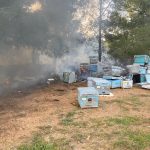 Datça’da orman yangını, arı kovanları zarar gördü