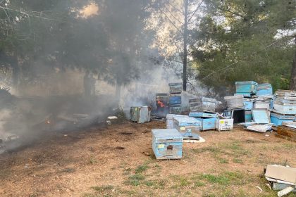 Datça’da orman yangını, arı kovanları zarar gördü