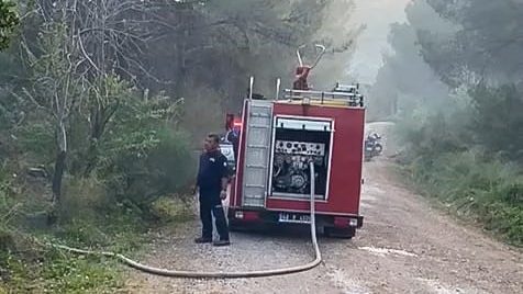 Datça’da orman yangını, arı kovanları zarar gördü