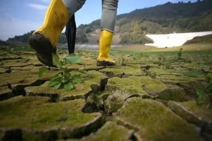 Google doodle Dünya Günü UNESCO