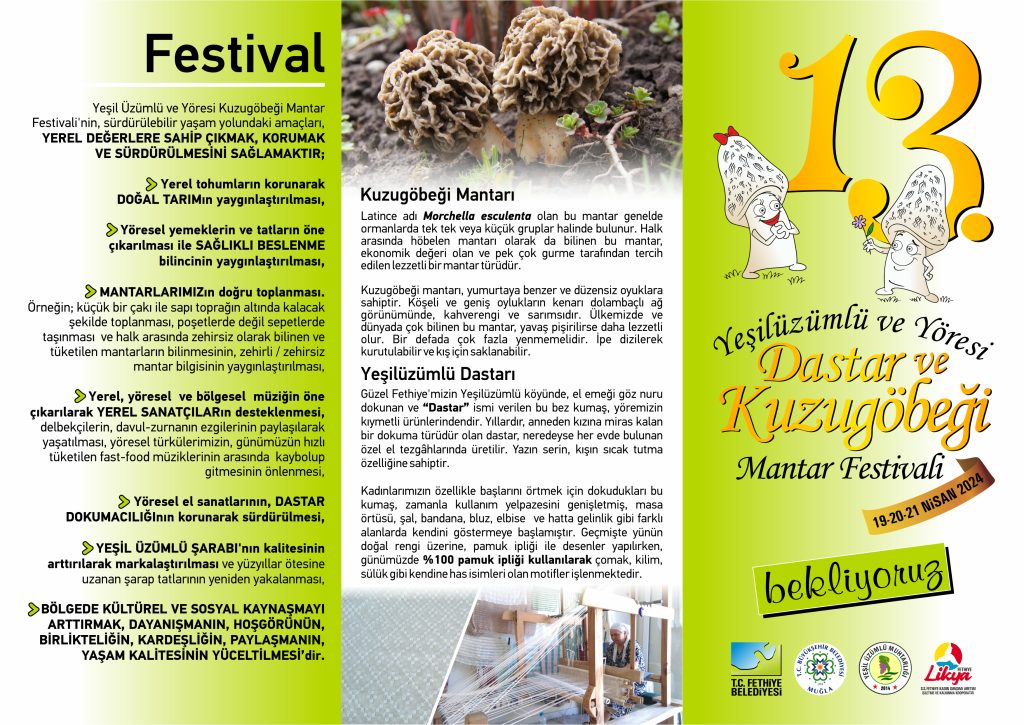 Fethiye Yeşilüzümlü Dastar ve Kuzugöbeği Mantar Festivali festival programı