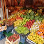 Erik Marmaris fiyatları Muğla