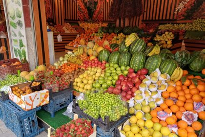 Erik Marmaris fiyatları Muğla