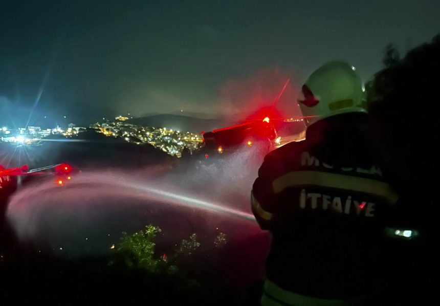 Milas orman yangın kontrol altına