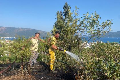 Marmaris otluk yangını yangın
