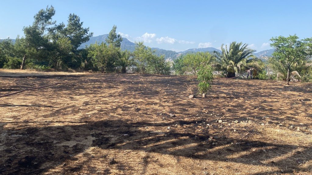 Marmaris otluk yangını yangın