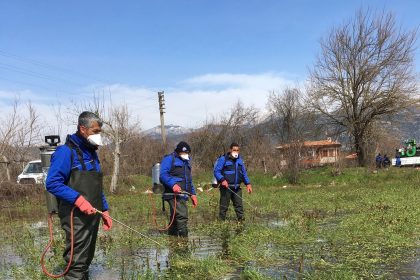 Muğla Büyükşehir Belediyesi vektör mücadele personelleri