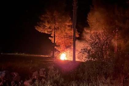 Köyceğiz yangın orman yangını pınar