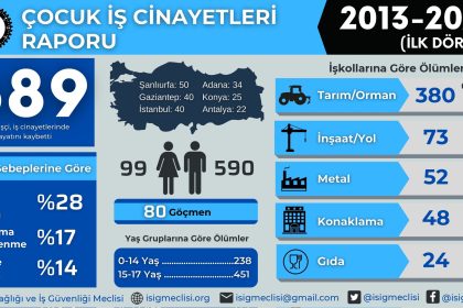 İSİG Meclis Çocuk iş cinayetleri Çocuk İş Cinayetleri Raporu