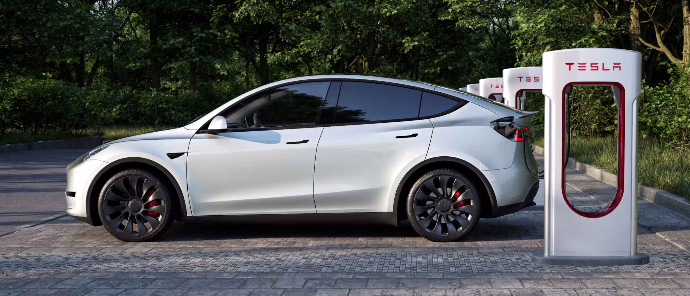 tesla model y türkiye fiyat