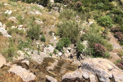 kayalıklara düşen,