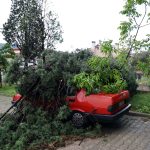 Muğla’da şiddetli yağış ve fırtına