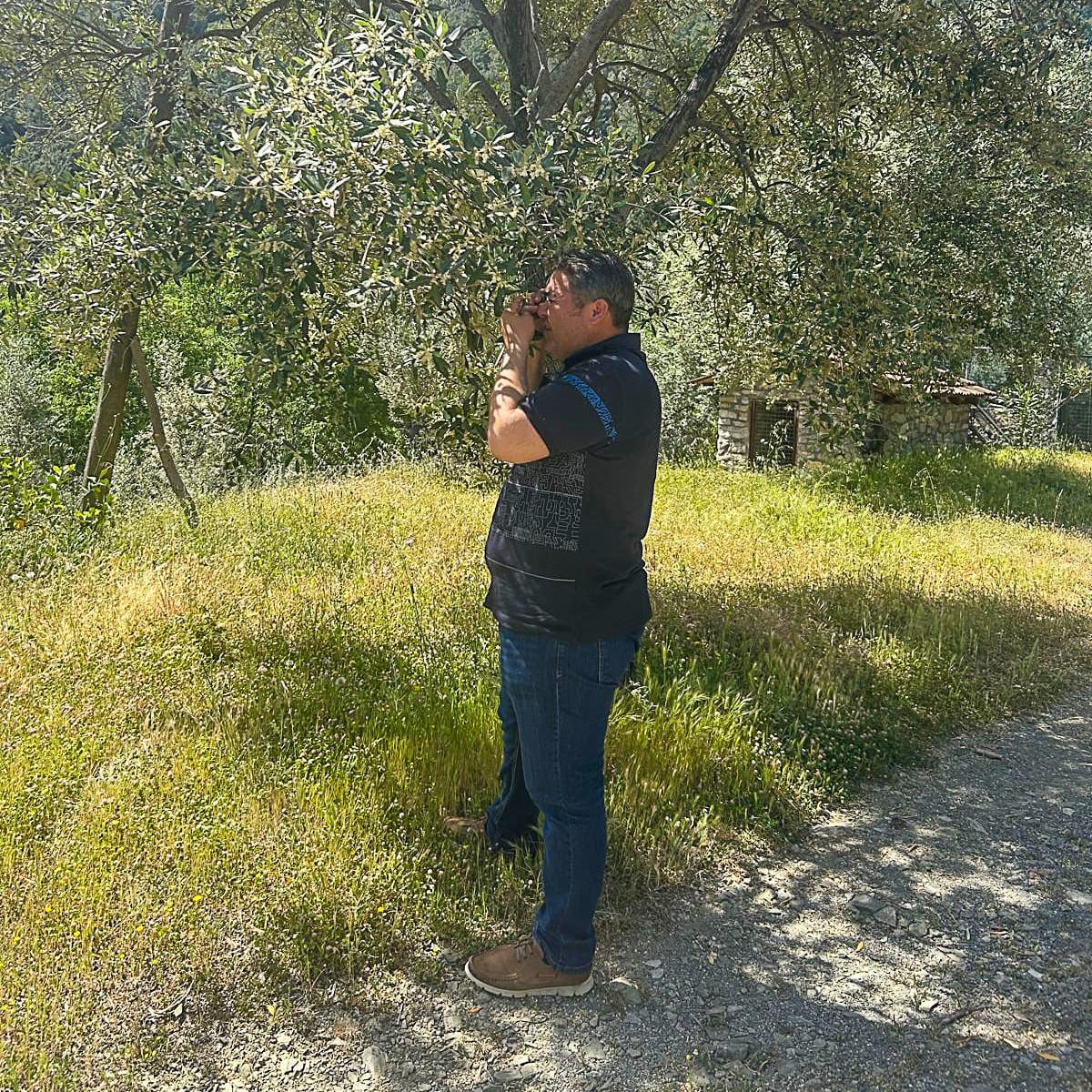 Ortaca'da zeytin bahçelerinde, zararlılar belirlendi, çiftçilere zararlılar hakkında bilgilendirme