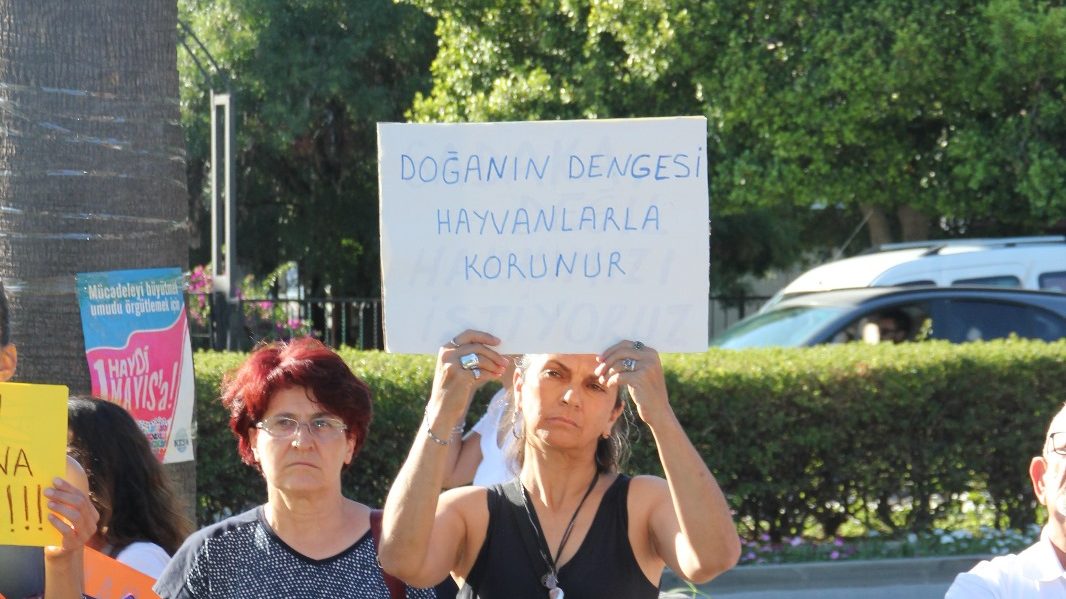 Emek ve Demokrasi Platformu, köpeklerin öldürülmesine yönelik