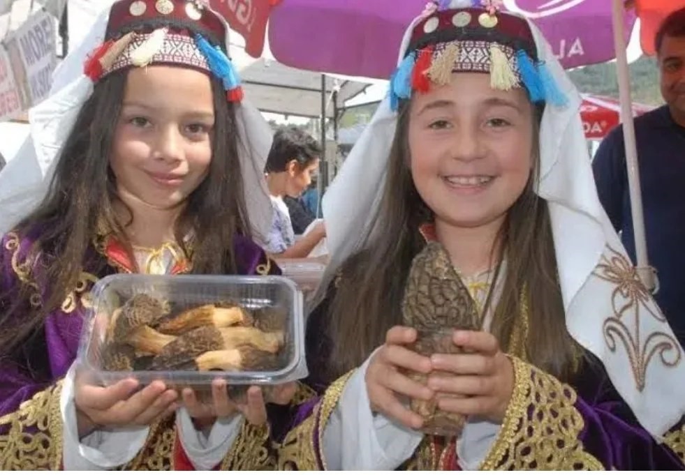Fethiye kuzugöbeği mantarı Avrupa ihracat
