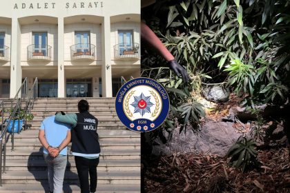 bodrum uyuşturucu operasyonu bodrum uyuşturucu