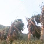 Güney Ege fırtına Meteoroloji'den fırtına uyarısı