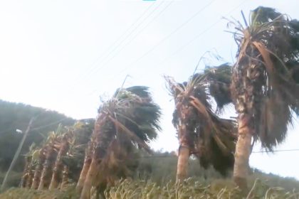 Güney Ege fırtına Meteoroloji'den fırtına uyarısı