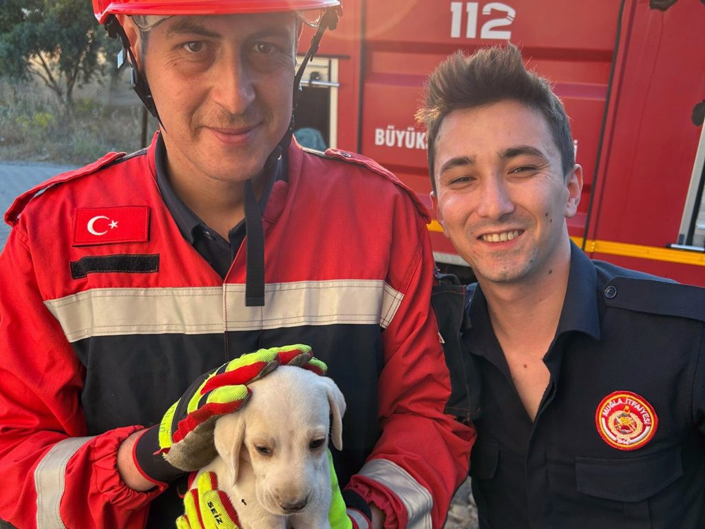 Köyceğiz yavru köpek köyceğiz itfaiye köpek kurtarıldı