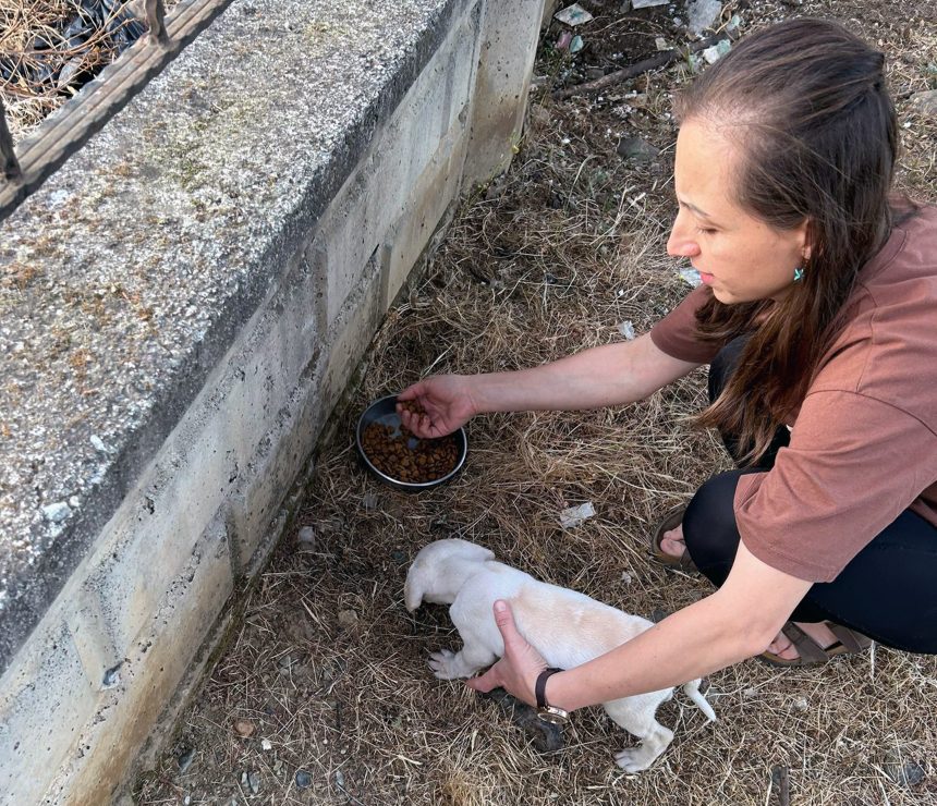 Köyceğiz yavru köpek köyceğiz itfaiye köpek kurtarıldı