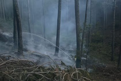 menteşe orman yangını menteşe yangın menteşe Yaraş yangın Yaraş mahallesi yangın muğla orman yangını
