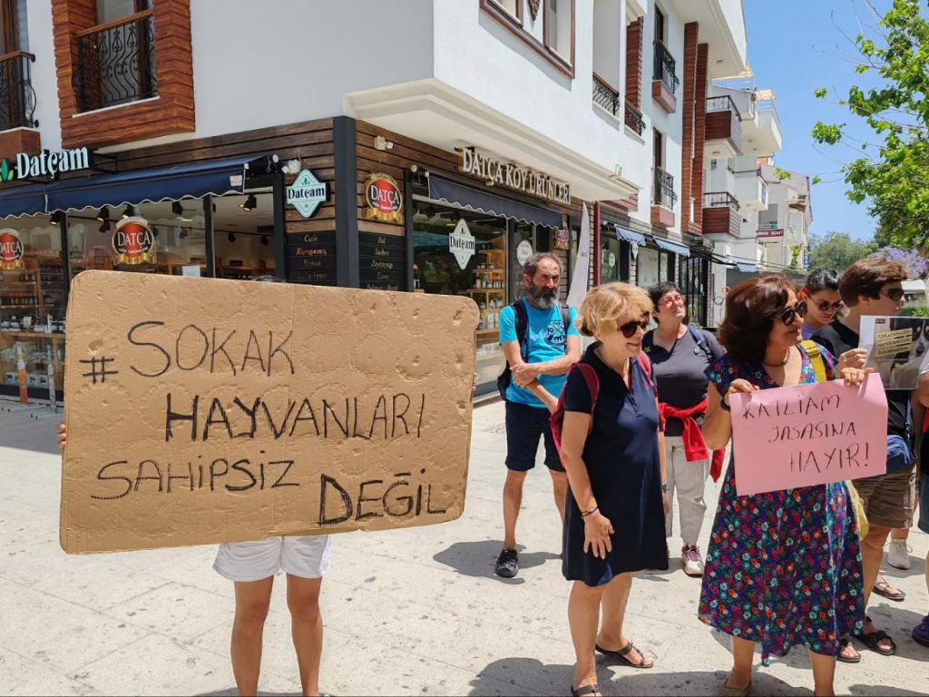 Datça'da protesto Şezlongsuz Datca İnisiyatifi sokak hayvanları yasa tasarısı sokak köpekleri