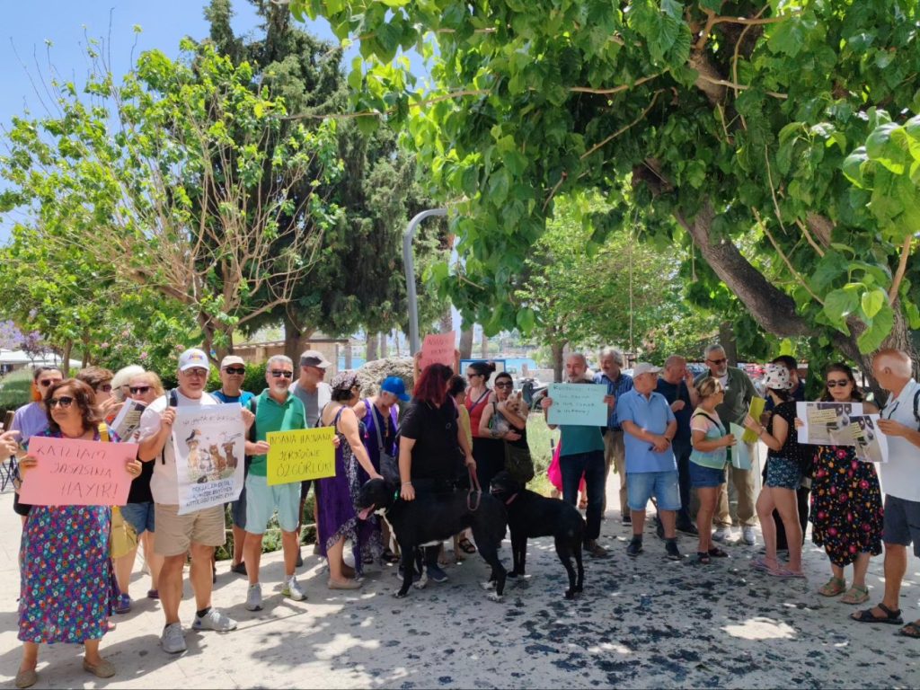 Datça'da protesto Şezlongsuz Datca İnisiyatifi sokak hayvanları yasa tasarısı sokak köpekleri