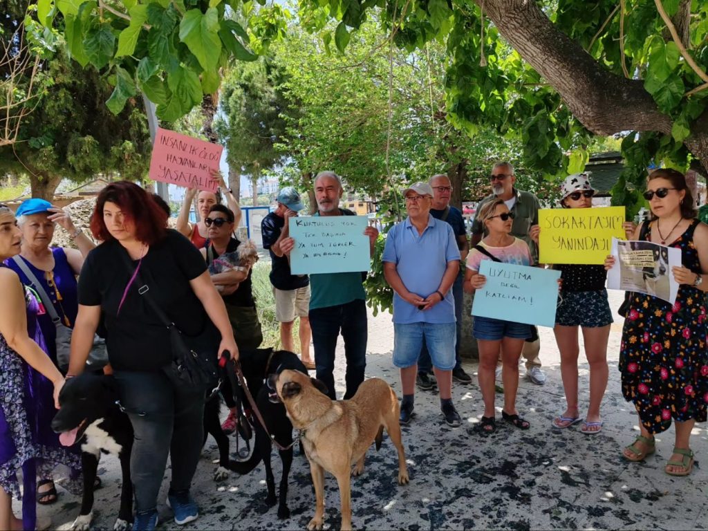 Datça'da protesto Şezlongsuz Datca İnisiyatifi sokak hayvanları yasa tasarısı sokak köpekleri