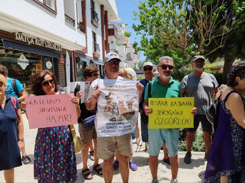 Datça'da protesto Şezlongsuz Datca İnisiyatifi sokak hayvanları yasa tasarısı sokak köpekleri