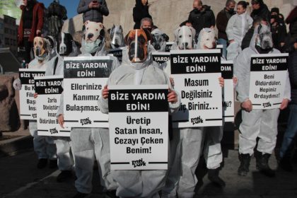 Sokak hayvanlarının öldürülmesine yönelik yasa teklifi, sokak hayvanlarının öldürülmesine yönelik