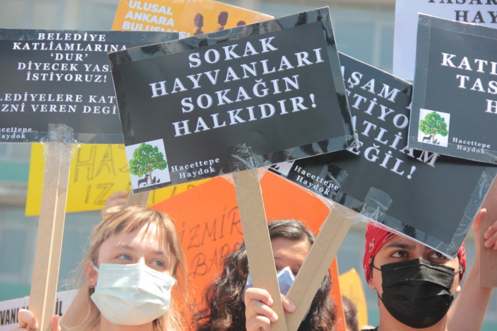 Sokak hayvanlarının öldürülmesine yönelik yasa teklifi, sokak hayvanlarının öldürülmesine yönelik