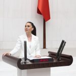 CHP Muğla Milletvekili Gizem Özcan Gizem Özcan çocuk işçiler 1 milyon çocuk işçi CHP doğum oranları chp çocuk yoksulluğu