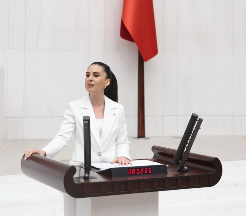 CHP Muğla Milletvekili Gizem Özcan Gizem Özcan çocuk işçiler 1 milyon çocuk işçi CHP doğum oranları chp çocuk yoksulluğu