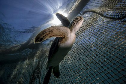 Akdeniz sahillerine gece giriş yasağı, deniz kaplumbağalarının yuvalama yaptığı