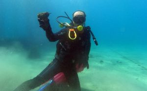 Bodrum’da deniz dibi temizliğinde, deniz dibi temizliği