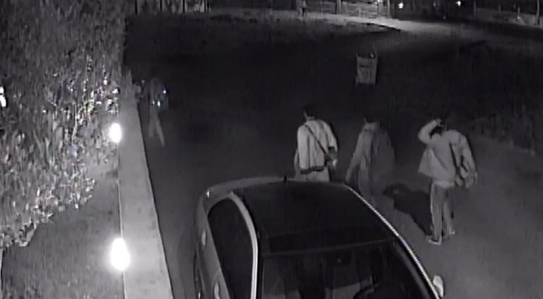 Marmaris’te göçmen kaçakçılığı, 29 düzensiz göçmen yakalanırken, Çamdibi Mahalle Muhtarı Sezer Kılıç