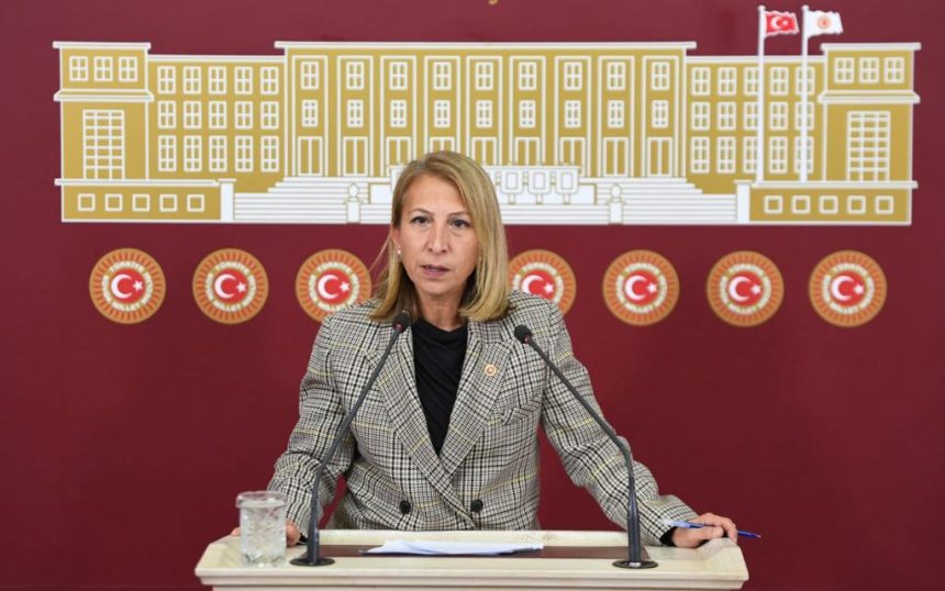 CHP Muğla Milletvekili Süreyya Öneş Derici chp soru önergesi Mehmet Özhaseki'ye soru önergesi