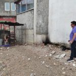 Fethiye’de aranan piton yılanı, görüldüğü iddia edilen piton yılanının