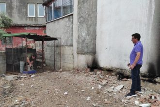 Fethiye’de aranan piton yılanı, görüldüğü iddia edilen piton yılanının