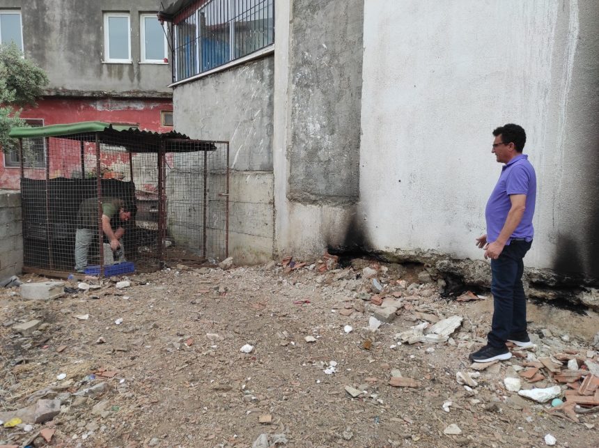 Fethiye’de aranan piton yılanı, görüldüğü iddia edilen piton yılanının
