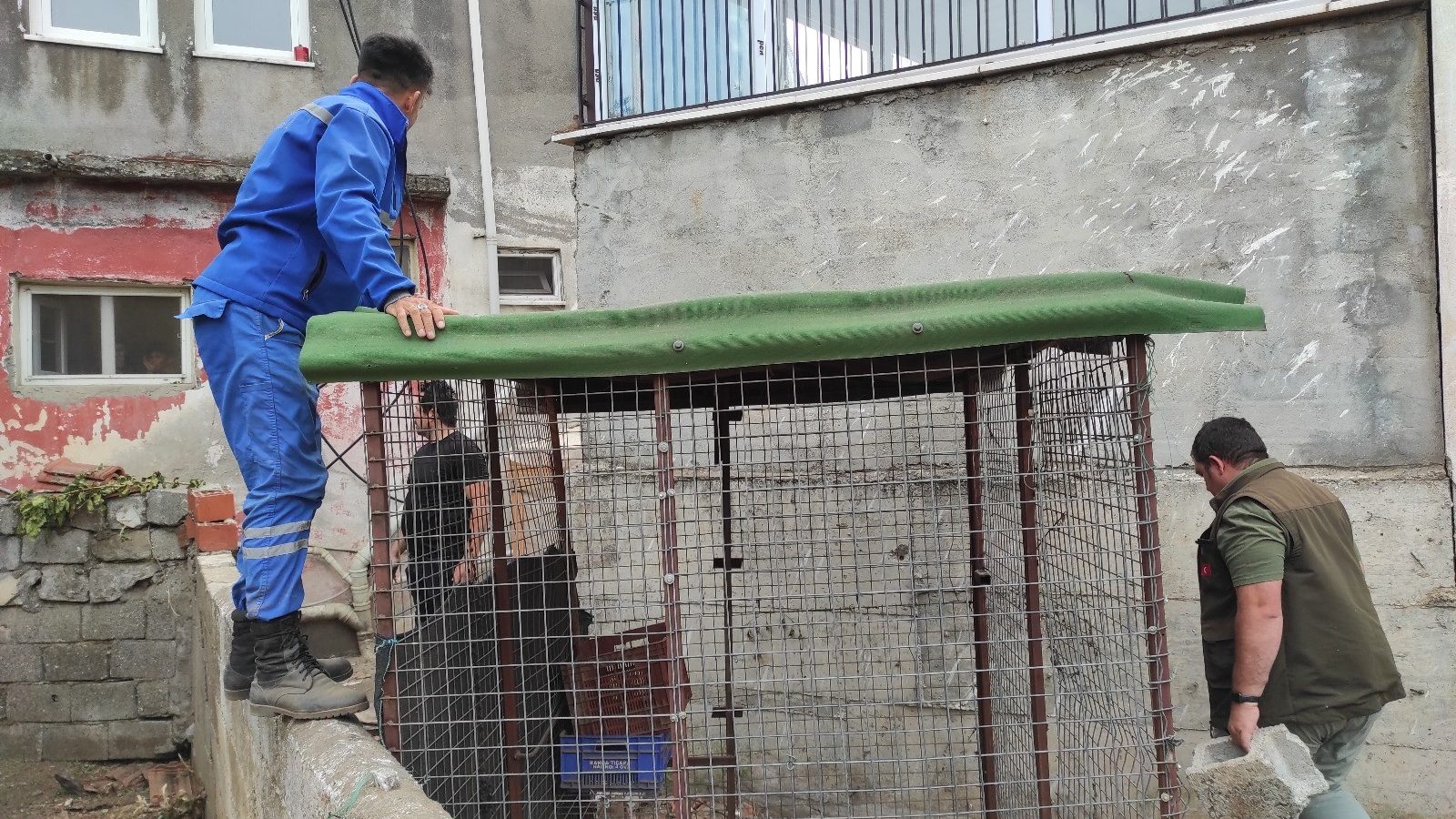 Fethiye’de aranan piton yılanı, görüldüğü iddia edilen piton yılanının