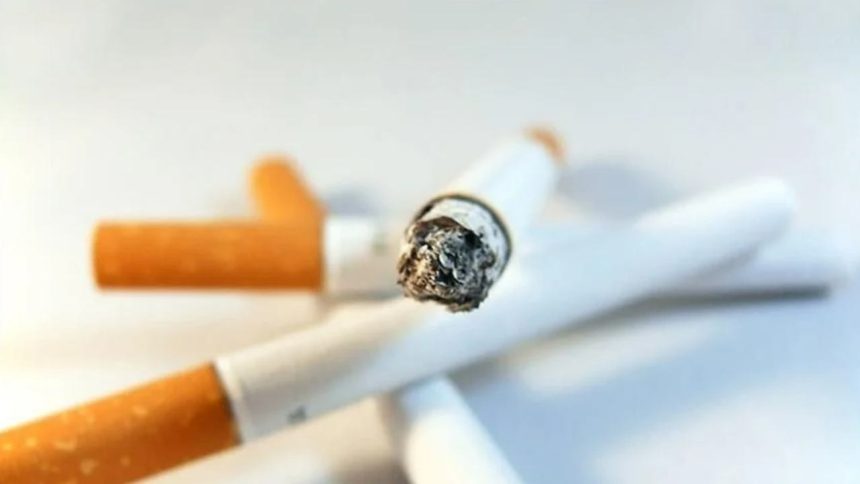 sigara zam Philip Morris TBYD Başkanı Erol Dündar