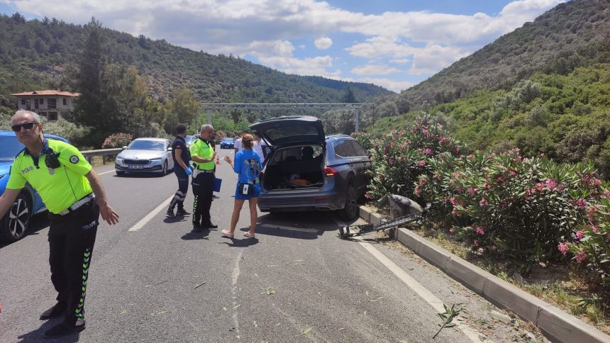 Milas’ta trafik kazası, otomobil yola çıkan köpeğe çarptı