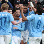 Manchester City FC, Fulham FC, Fulham - Manchester City