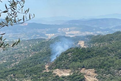 Milas’ta çıkan orman yangını, söndürüldü, yangın meydana geldi