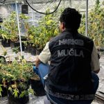 muğla uyuşturucu operasyonu Muğla uyuşturucu