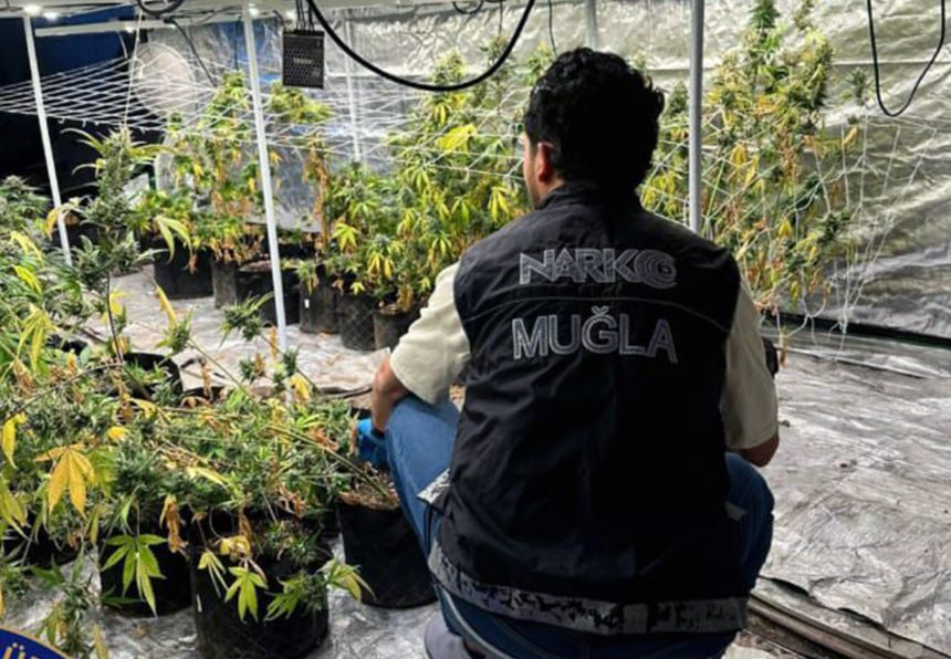 muğla uyuşturucu operasyonu Muğla uyuşturucu